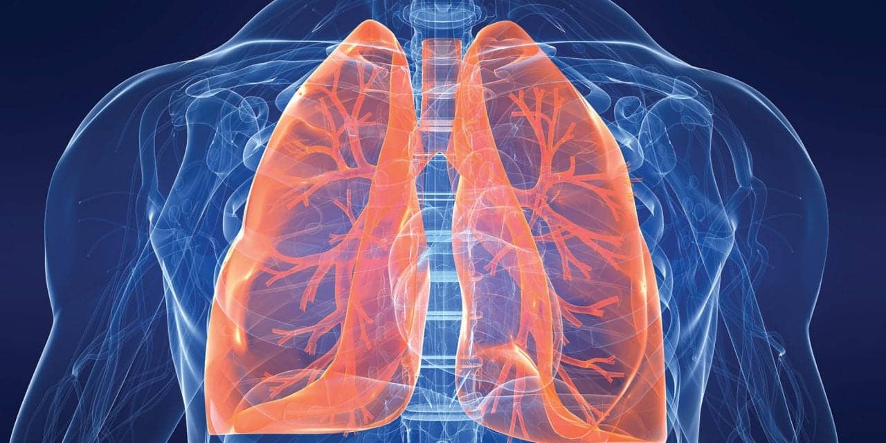 Respiratory critical care monitor